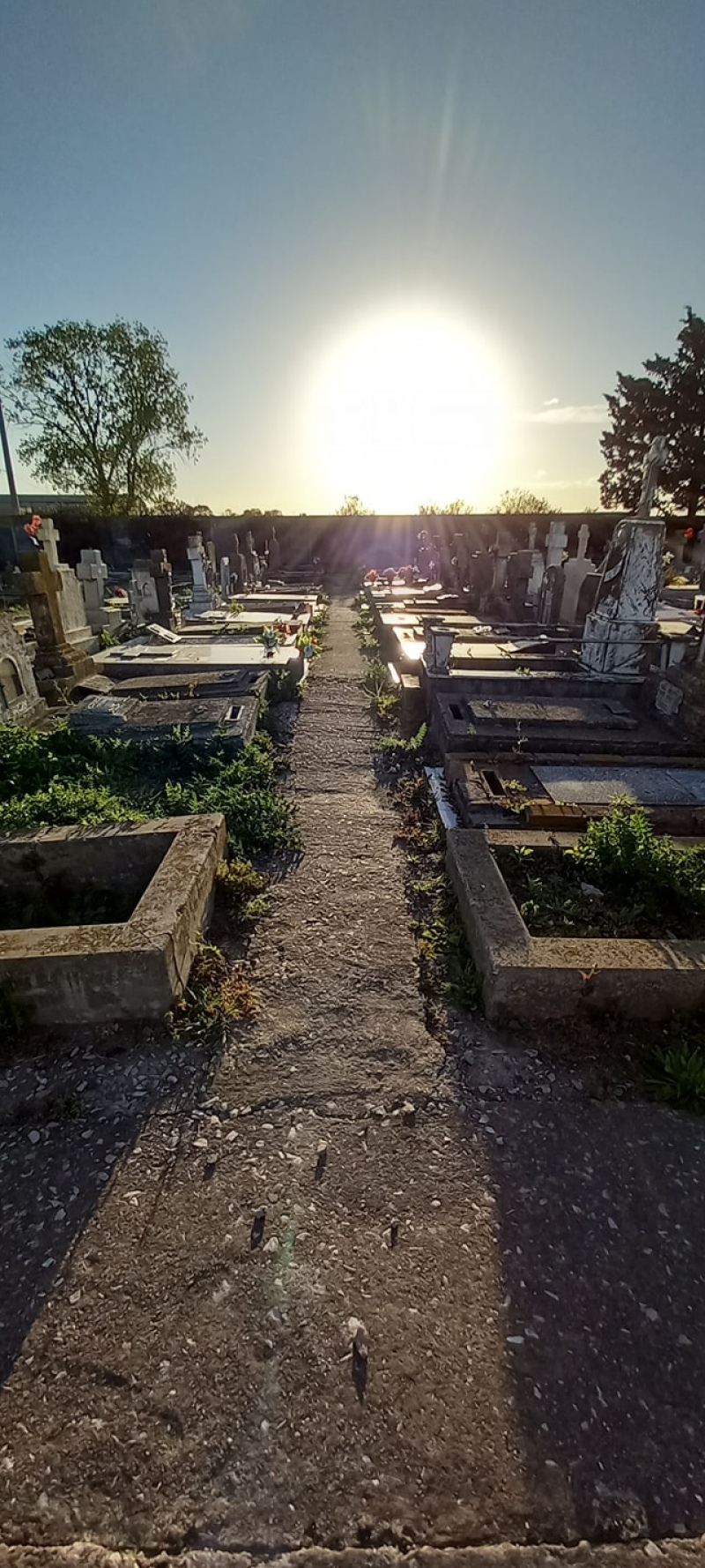 Quejas por el estado de abandono en el cementerio municipal