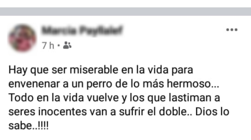 Asesino anónimo mató a casi todos los perros de un pueblo