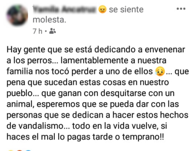 Asesino anónimo mató a casi todos los perros de un pueblo