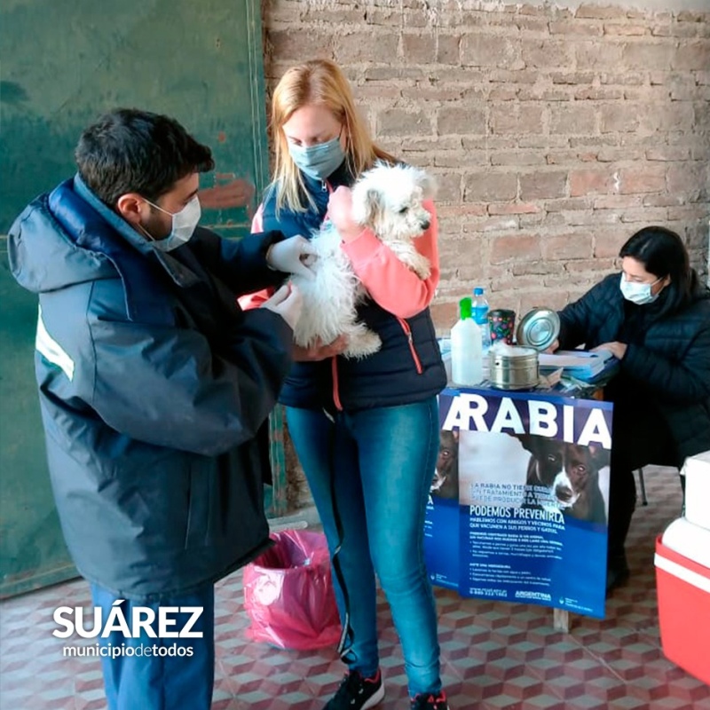 Unos 72 perros y gatos fueron vacunados contra la rabia en Pueblo San José