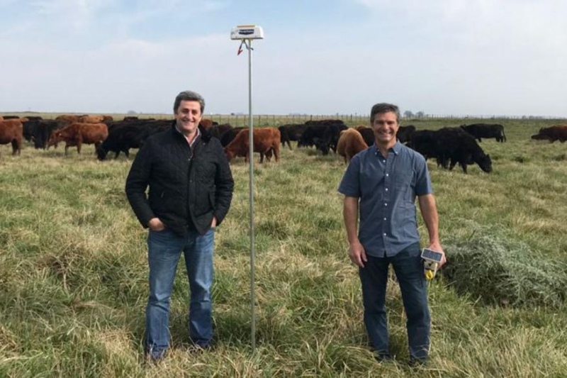 Pablo Etcheberry (a la derecha de manga con camisa) junto a su socio Nicolás Schroeder. Detrás las vacas y la vela automática que desarrolló