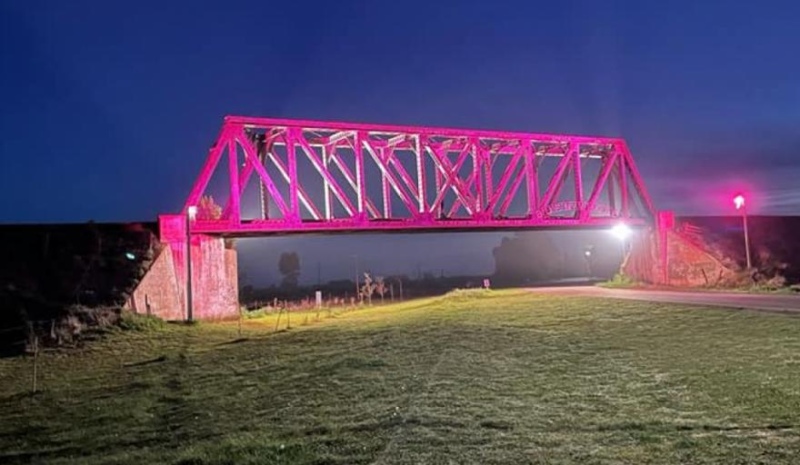 Huanguelen adhirió a la lucha contra el cáncer de mama iluminando de rosa el Puente Negro