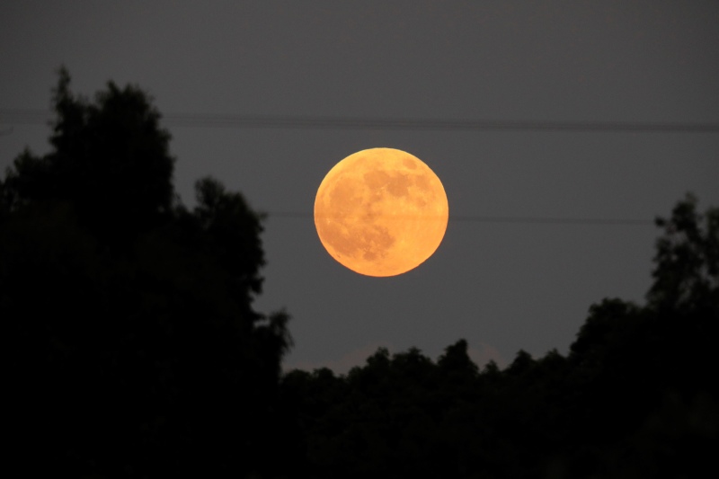 Agendá: se aproximan un eclipse de luna y dos lluvias de estrellas