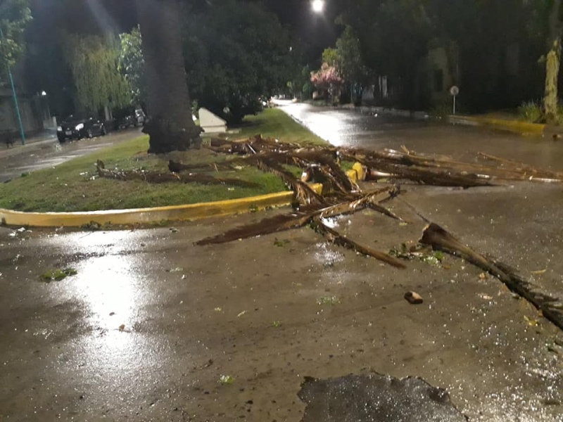 Tremenda tormenta de viento, tierra y lluvia por Bolívar