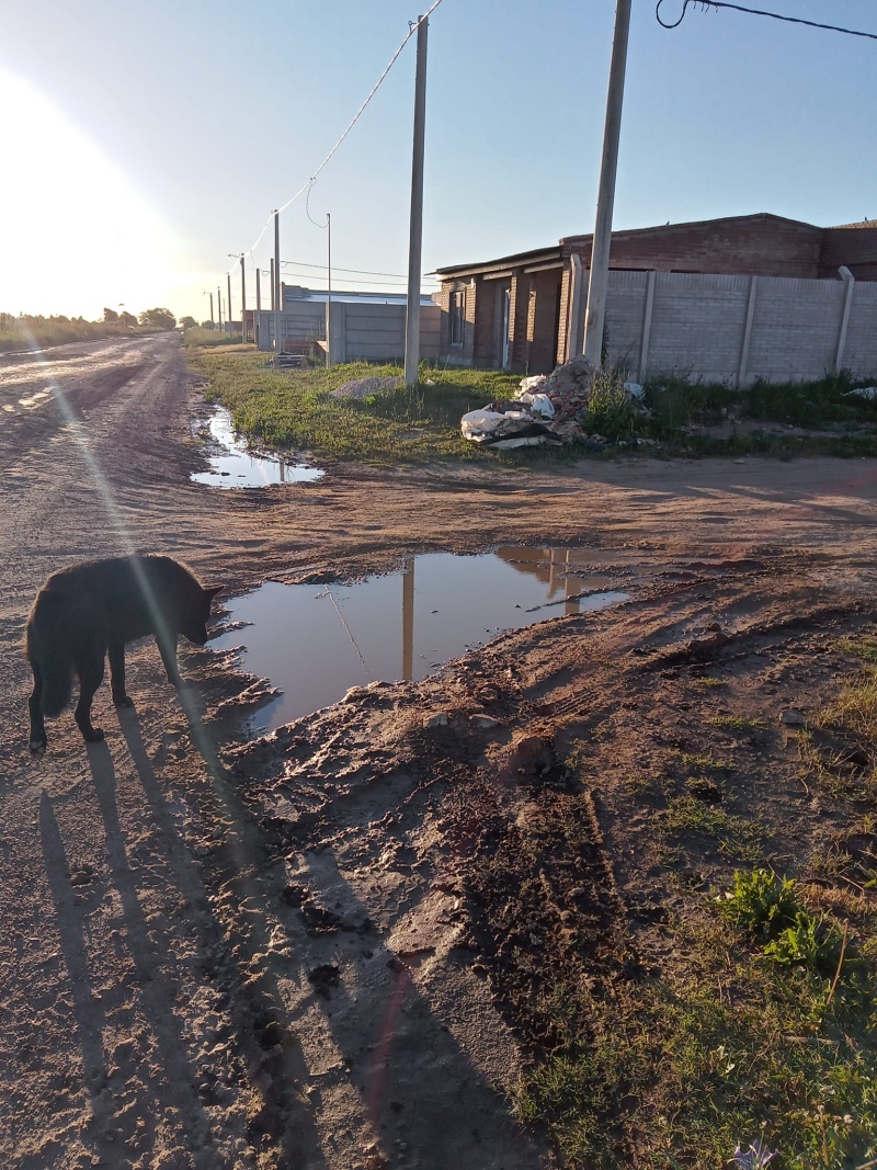 Vecinos de Santa Trinidad se quejan del estado de las calles