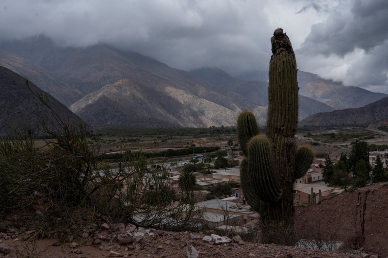 En Jujuy quieren reemplazar la matriz productiva del tabaco con cannabis para uso medicinal. 