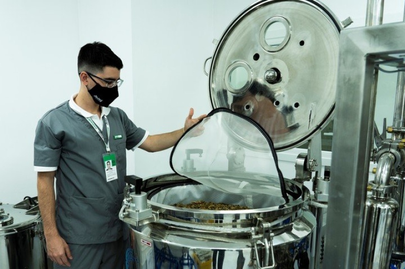 El trabajo en el laboratorio. El proyecto de Cannava contempla toda la cadena de producción.