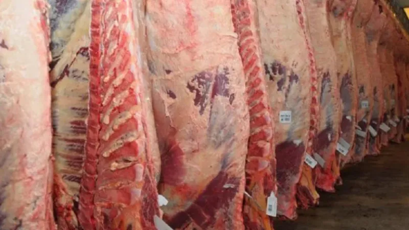 Ruralistas celebraron decisión que dispone liberar la exportación de carne