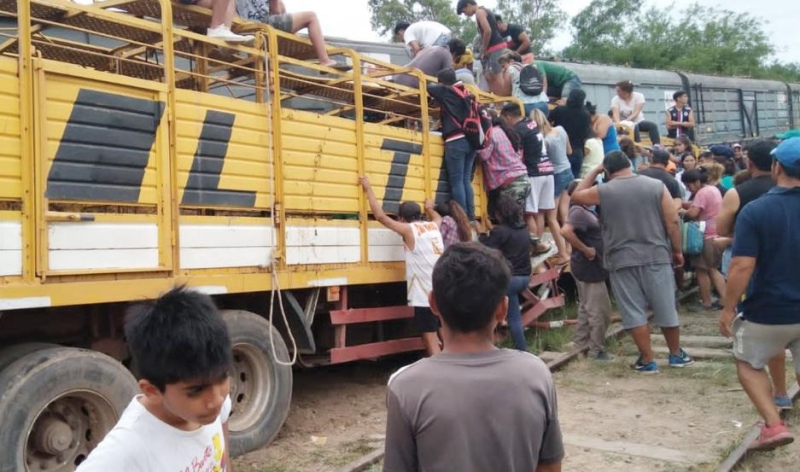 Brutal: tren arrolló a un camión cargado de vacas y los vecinos sacrificaron y faenaron a los animales