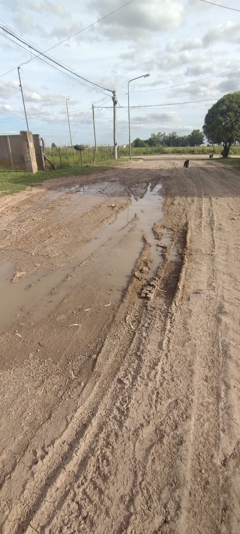 Las calles de Villa Belgrano están explotadas