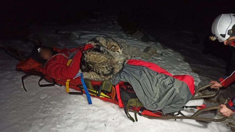 Un perro estuvo 13 horas recostado sobre un montañista accidentado para darle calor y le salvó la vida