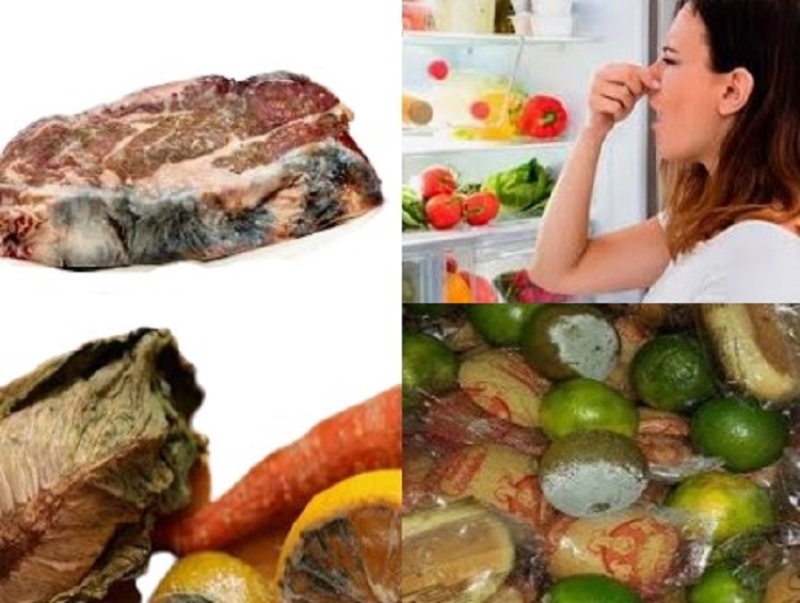 Especialista revela cuáles son los errores más comunes al conservar los alimentos