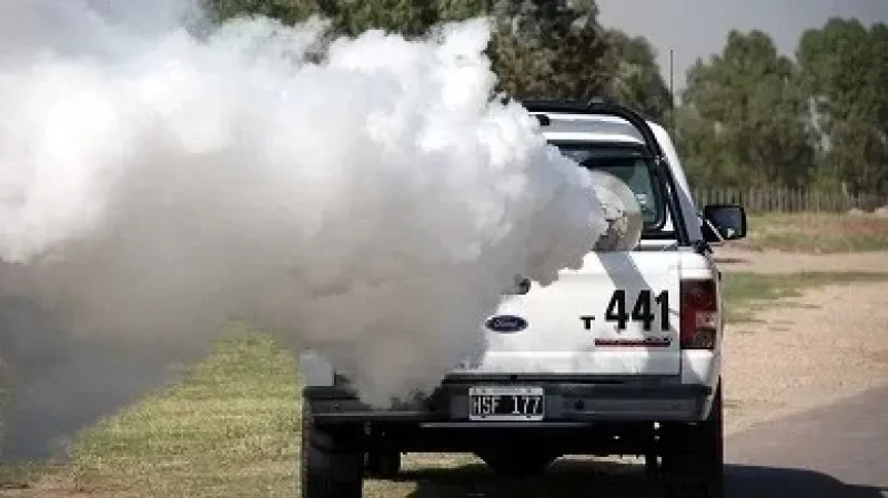 En toda la zona fumigan contra la invasión de mosquitos