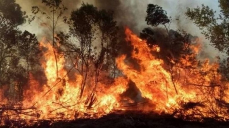 Bomberos de Saldungaray viajaron a Corrientes para ayudar a combatir los incendios