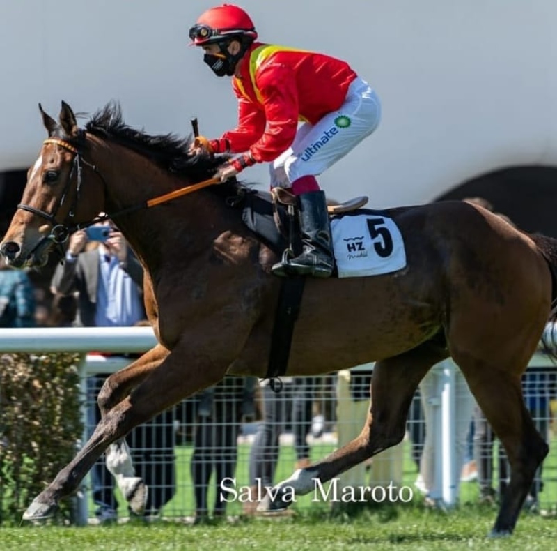 Marito Fernández, el jockey pigüense que triunfa en Europa