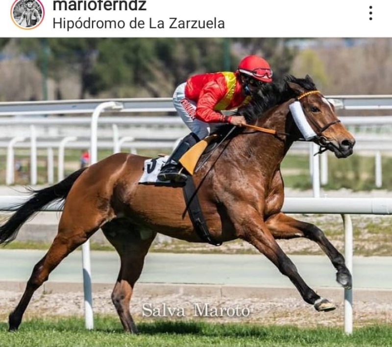 Marito Fernández, el jockey pigüense que triunfa en Europa