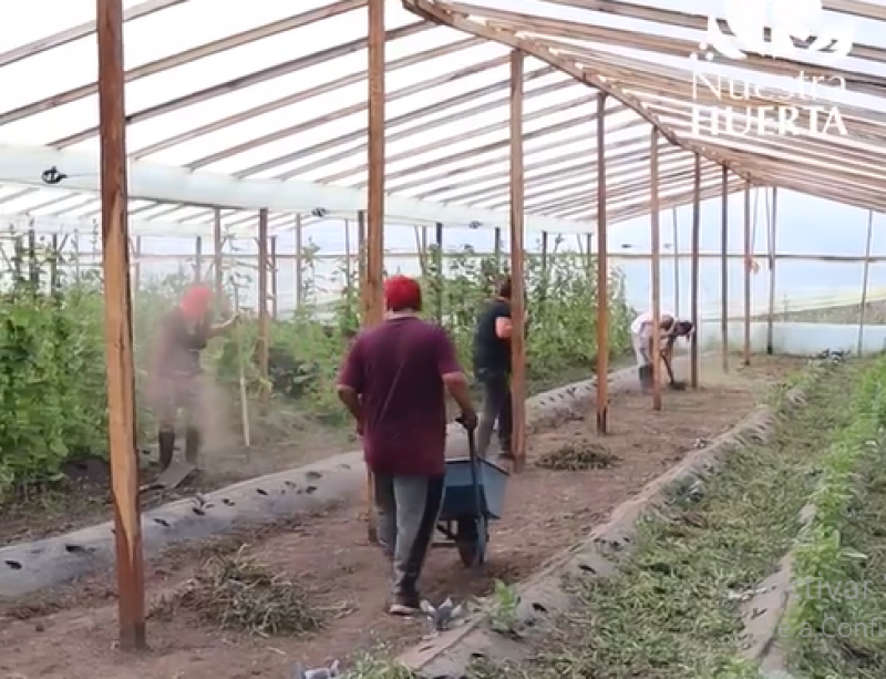 “Nuestra Huerta” comenzó la venta de verduras agroecológicas en el Parque Productivo