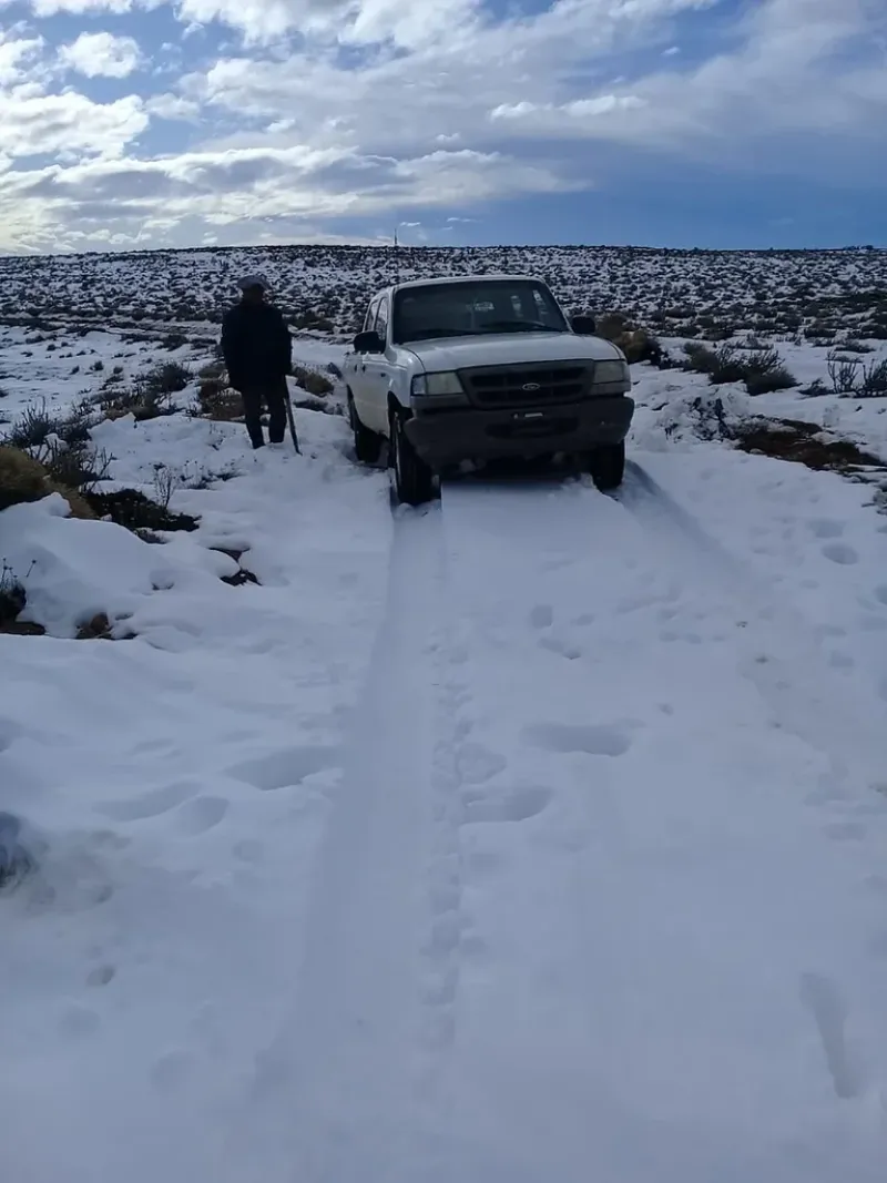 El crudo invierno en Colan Conhué. ”Cuatro mil hectáreas aquí no son iguales que en la Cordillera o la Pampa Húmeda. Es seco y deforestado”, asegura Sabino