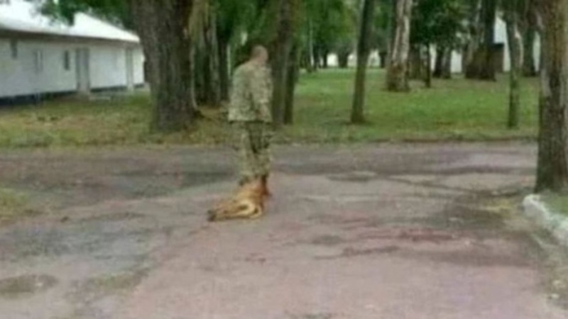 Lamentable: denuncian que un militar de Olavarría ahorcó a un perro hasta matarlo