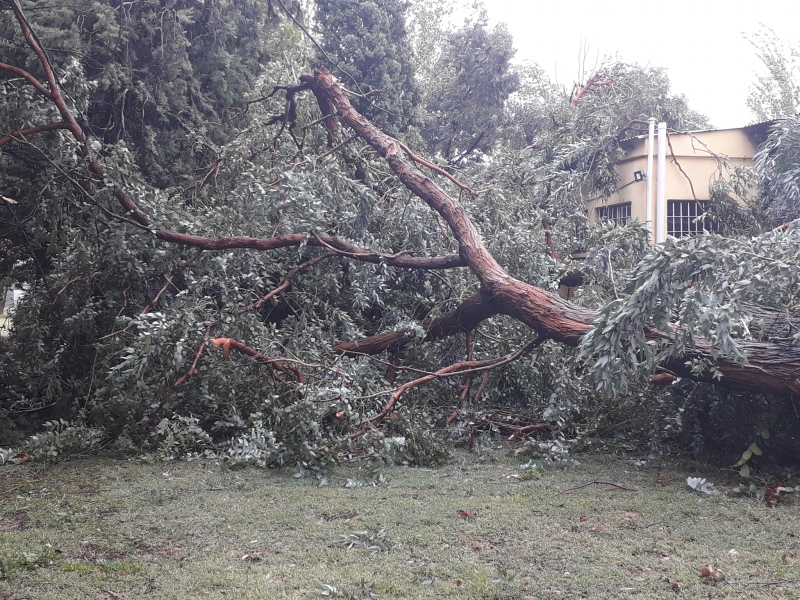 Muchos inconvenientes causó la fuerte tormenta de viento y lluvia