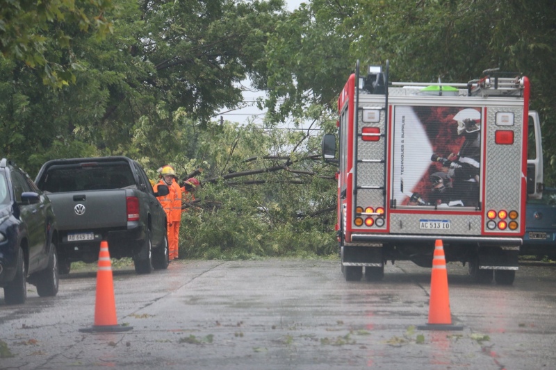 Muchos inconvenientes causó la fuerte tormenta de viento y lluvia