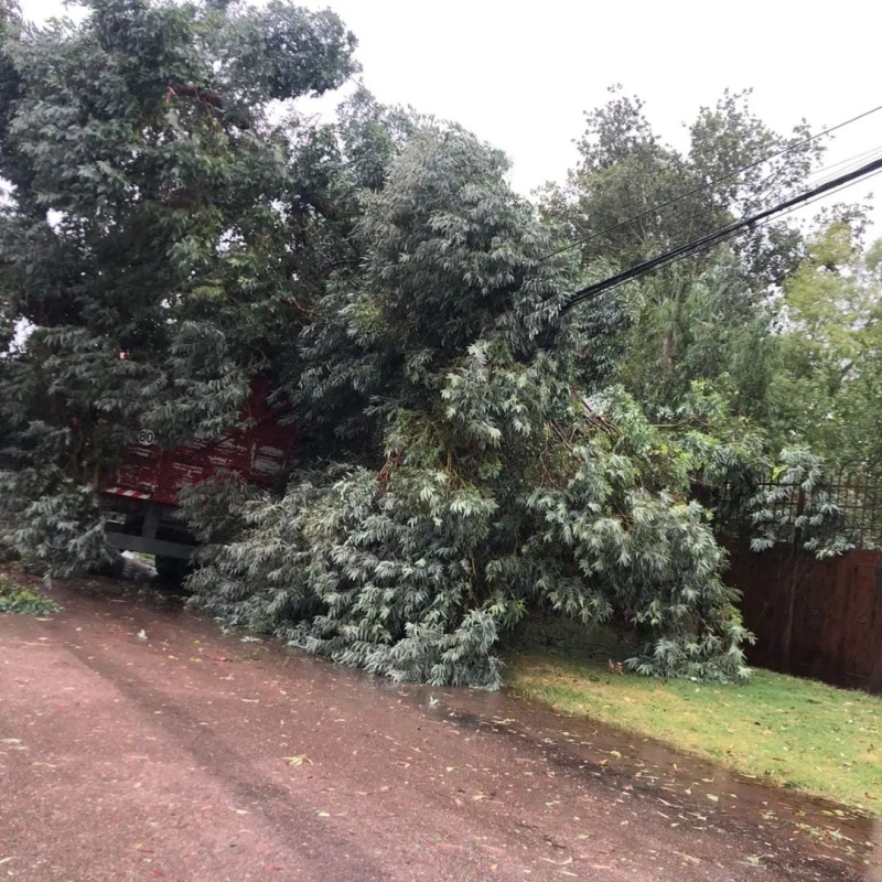 Muchos inconvenientes causó la fuerte tormenta de viento y lluvia