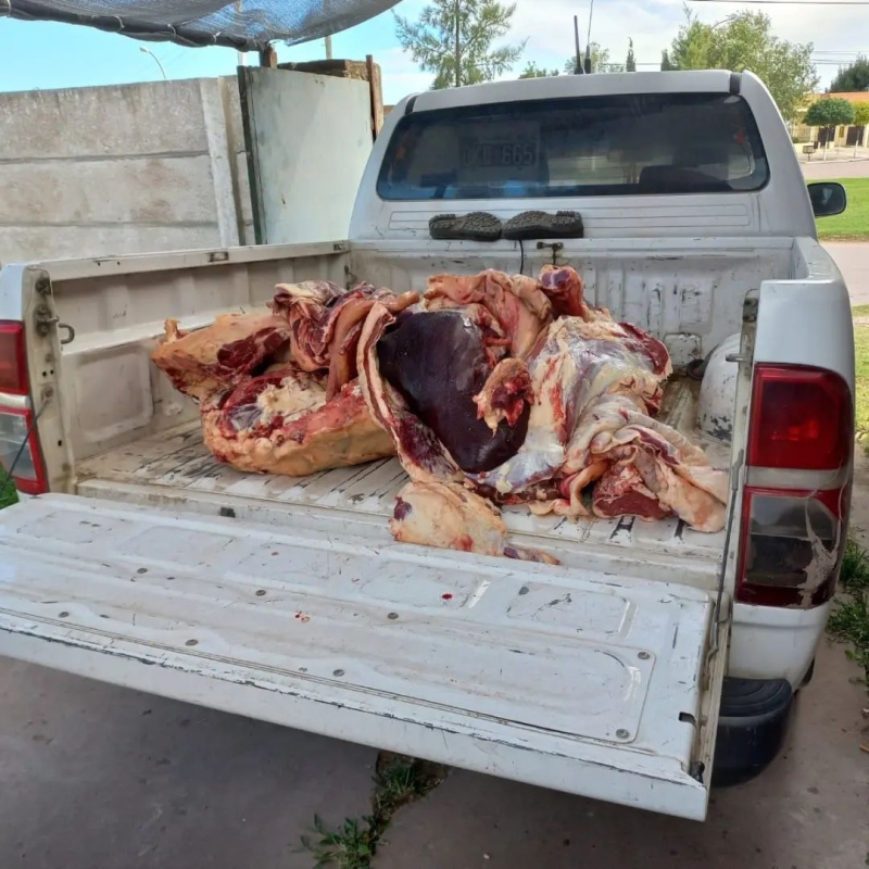 Secuestraron carne de faena clandestina en un minimercado de Huanguelén