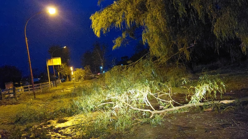 Graves daños provocaron el viento y el granizo en Garré