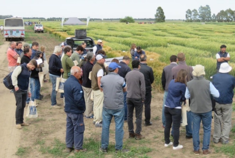 Jornada a campo abierto para productores de Guaminí, Adolfo Alsina y Coronel Suárez