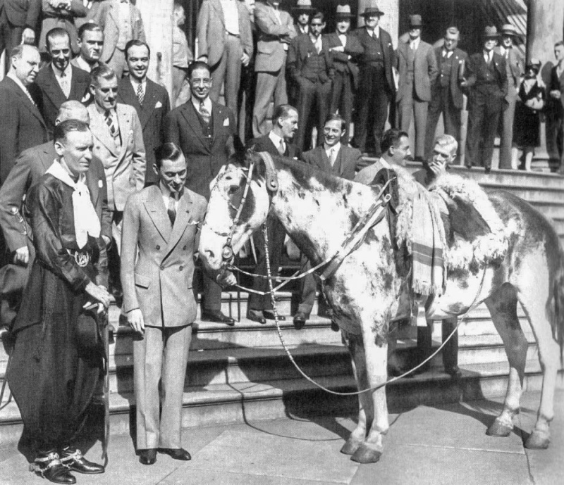 El trascendental origen histórico de los caballos cimarrones del Parque Tornquist