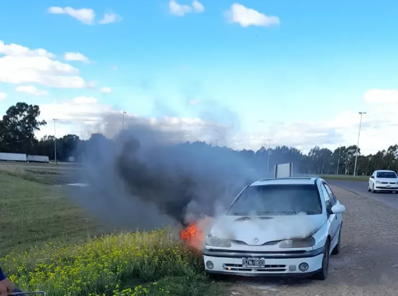 Un auto se prendió fuego en la ruta 33 cerca de Tornquist: no hubo heridos, pero los daños fueron cuantiosos