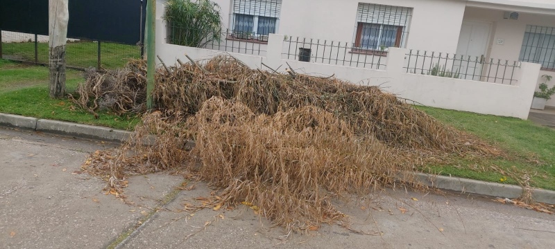 Juntos pide limpieza en un sector de la ciudad que parece abandonado a su suerte