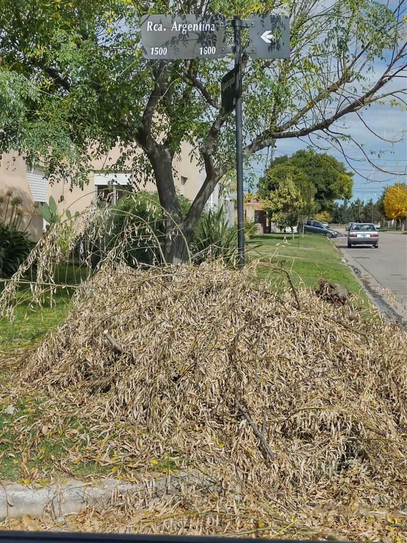 Juntos pide limpieza en un sector de la ciudad que parece abandonado a su suerte