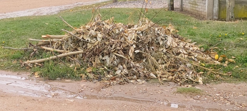 Juntos pide limpieza en un sector de la ciudad que parece abandonado a su suerte