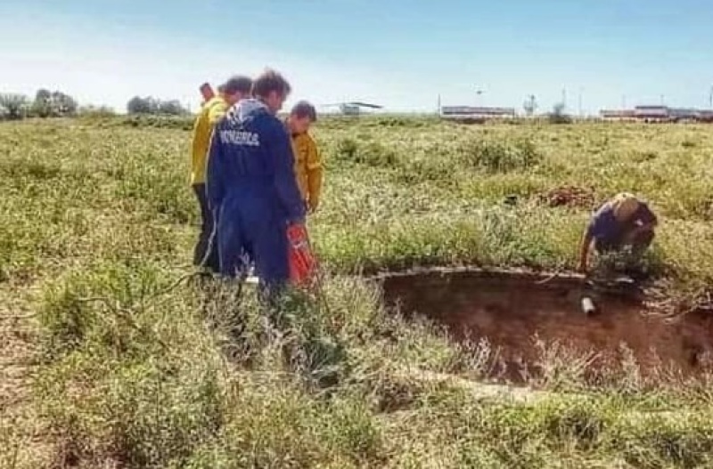 Pigüé: rescataron a dos perros que cayeron a un profundo pozo