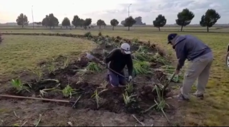 Veteranos de Malvinas: ”Seguimos adelante y haciendo crecer el parque de la ciudad”