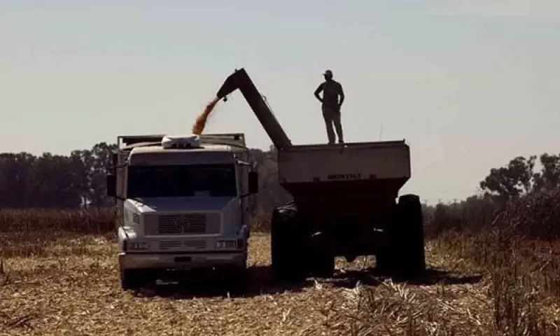 Transportistas de granos paran y amenazan con más cortes de ruta