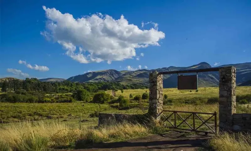 Villa Ventana: investigan caza ilegal de pumas en la estancia de un millonario