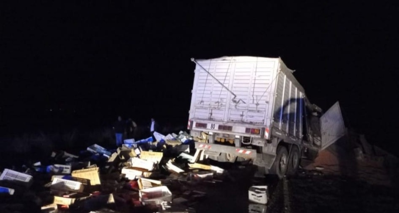 Dos personas fallecidas en un choque de camiones sobre Ruta 65, en el kilómetro 318.