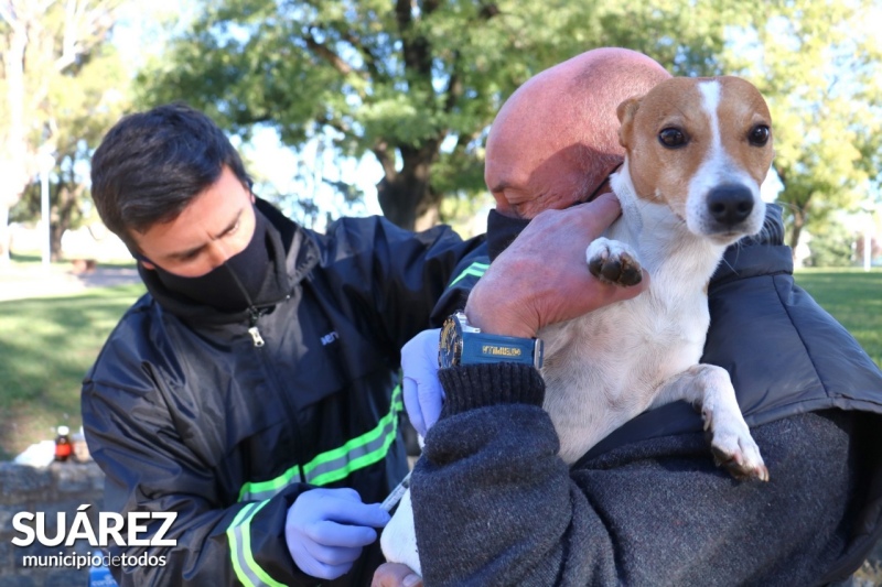 Este lunes habrá vacunación antirrábica en el viejo corralón municipal