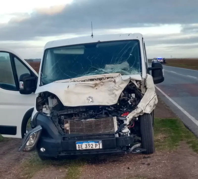 Una combi chocó contra un toro que se cruzó sobre la ruta