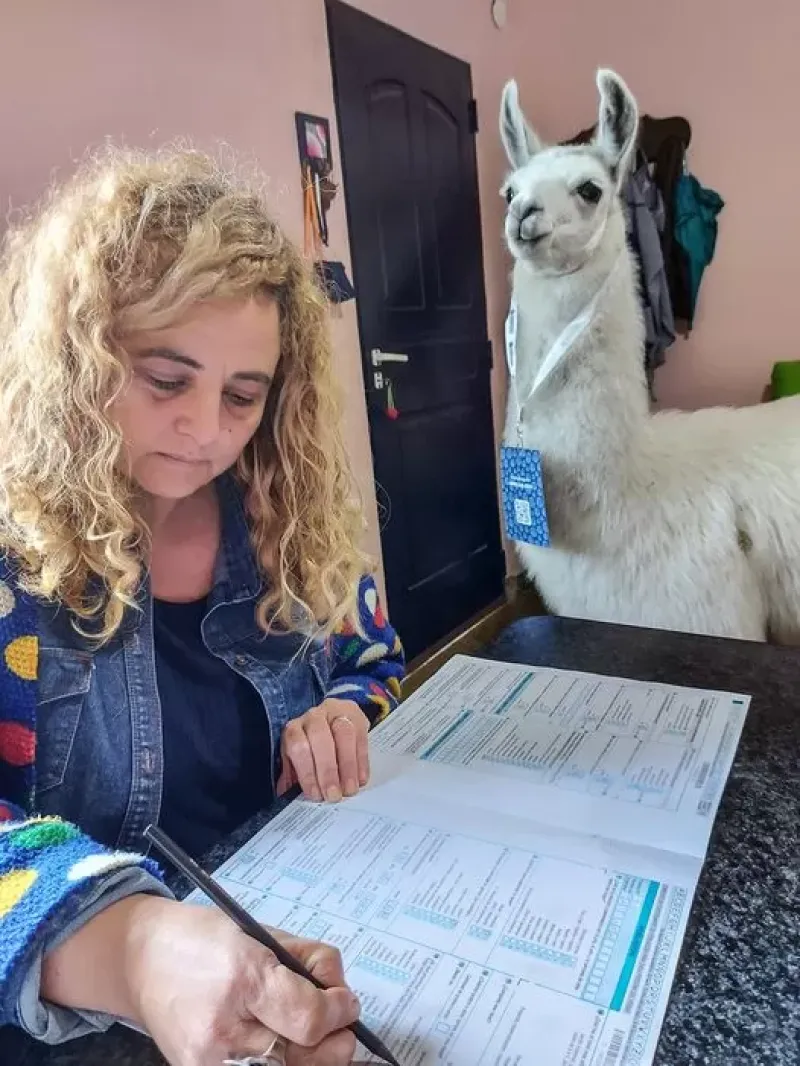 Luz Clarita, la llama que “supervisó” a una censista en el Paraje Fra-Pal