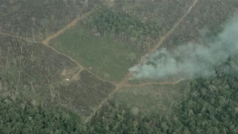 Grandes extensiones de bosque tropical fueron quemadas o taladas en 2021 y sustituidas por cultivos o ganado, especialmente en Brasil, y el cambio climático dificulta la conservación de la cubierta forestal, advirtieron el jueves investigadores.