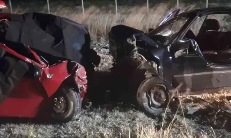 Ruta 35: dos muertos y un herido en un accidente a pocos kilómetros de Bahía Blanca