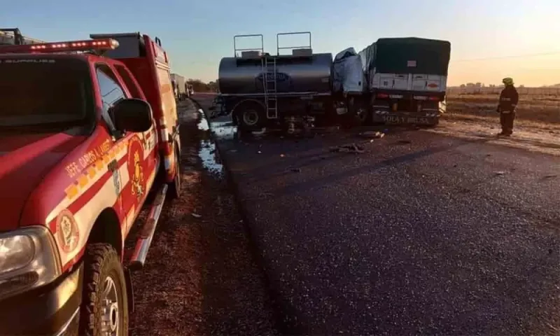 Chocan dos camiones en la Ruta 33 cerca de Trenque Lauquen: un muerto