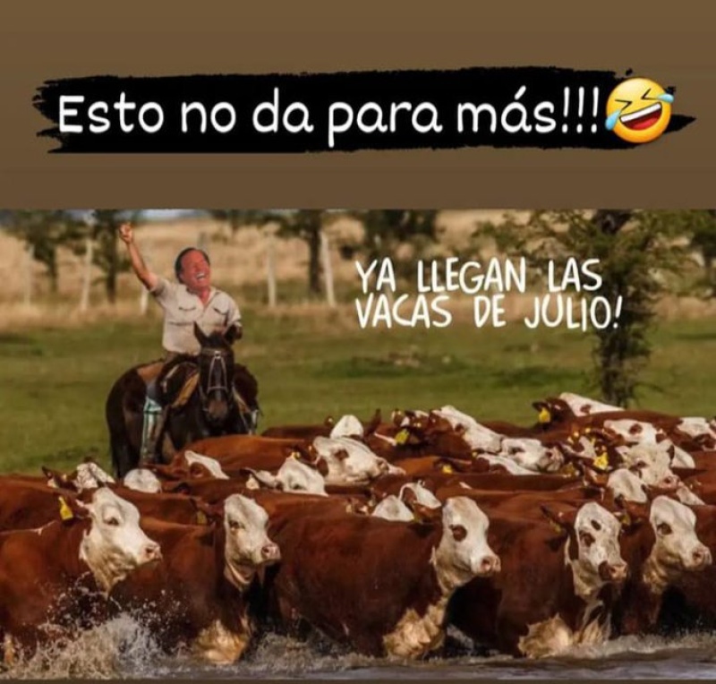 Los 25 mejores memes de Julio: arrancó el mes y Julio Iglesias es otra vez protagonista