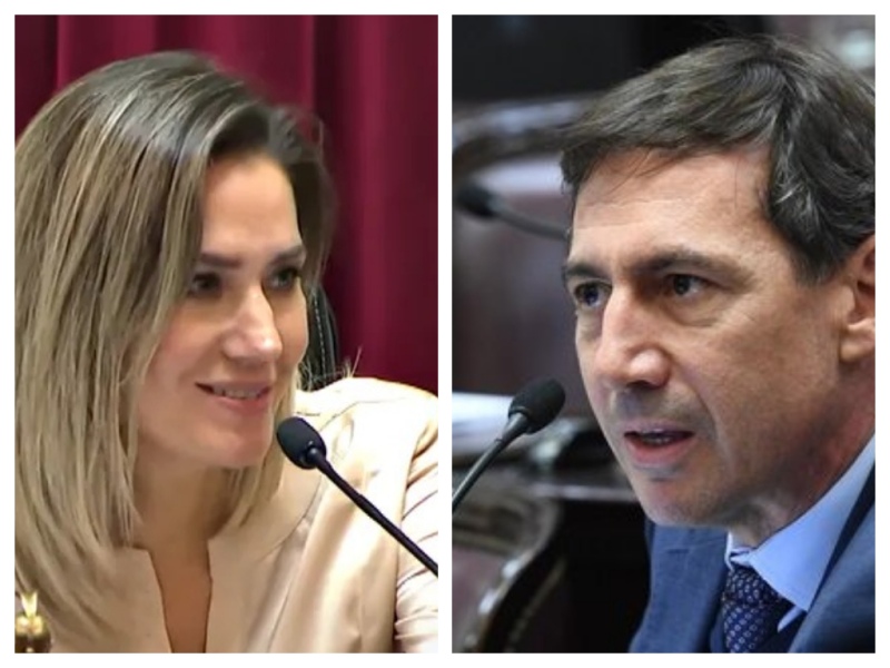 El amor nació en el Senado: Carolina Losada y Luis Naidenoff están en pareja