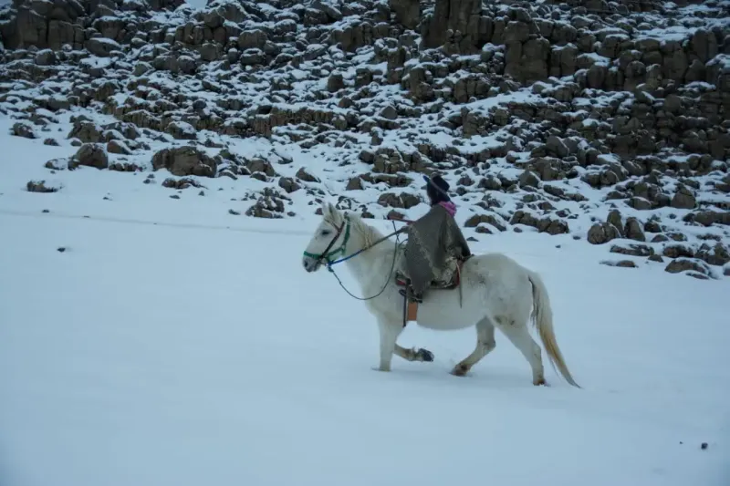 Camino al puesto. 