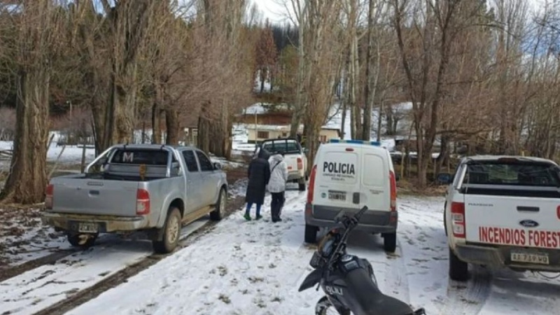 Un perro desenterró un cadáver y les llevó la cabeza a sus dueños