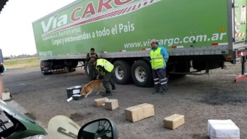 Las encomiendas fueron interceptadas en controles de la Gendarmería, con perros antinarcóticos, en la ruta nacional 14.